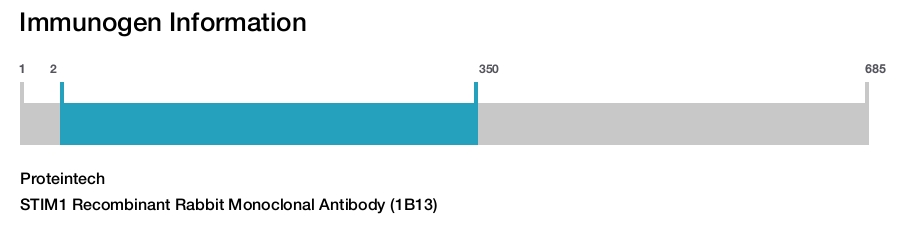 STIM1 Recombinant Rabbit Monoclonal Antibody (1B13)
