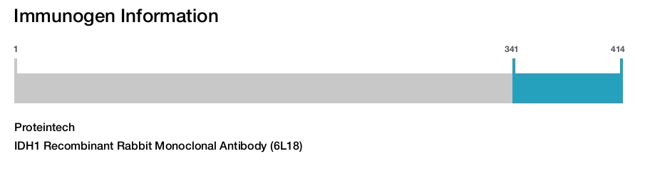 IDH1 Recombinant Rabbit Monoclonal Antibody (6L18)
