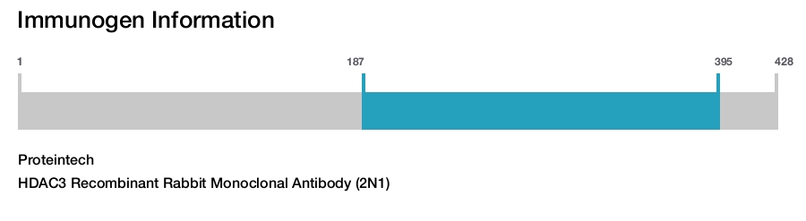 HDAC3 Recombinant Rabbit Monoclonal Antibody (2N1)