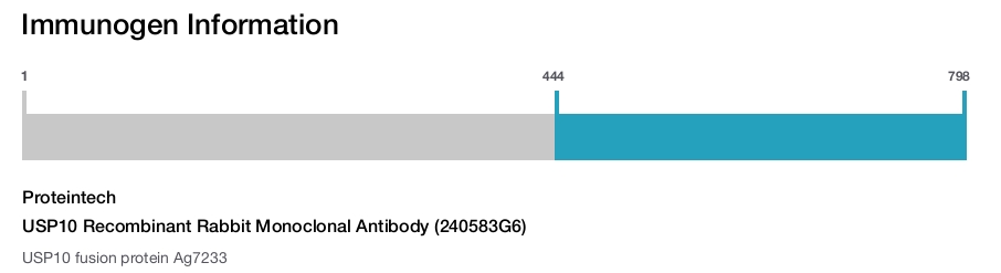 USP10 Recombinant Rabbit Monoclonal Antibody (240583G6)