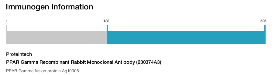PPAR Gamma Recombinant Rabbit Monoclonal Antibody (230374A3)