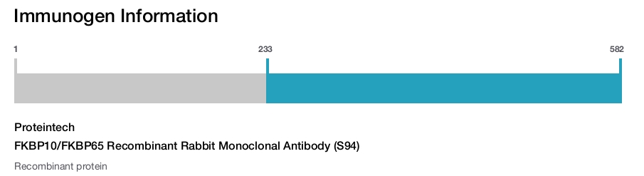 FKBP10/FKBP65 Recombinant Rabbit Monoclonal Antibody (S94)