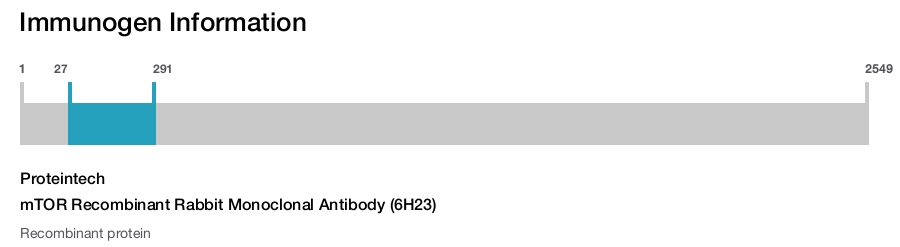 mTOR Recombinant Rabbit Monoclonal Antibody (6H23)