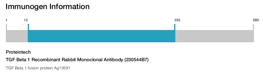 TGF Beta 1 Recombinant Rabbit Monoclonal Antibody (230544B7)