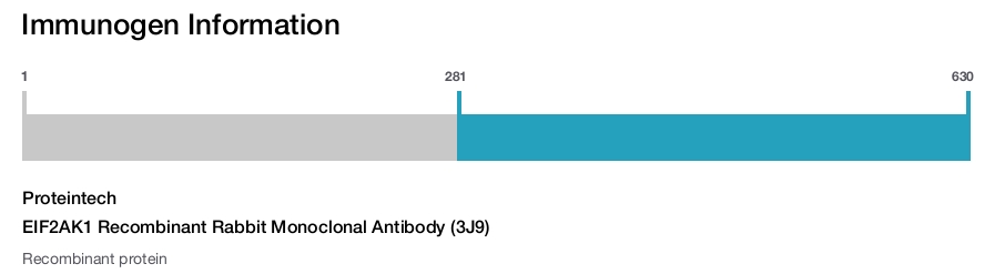 EIF2AK1 Recombinant Rabbit Monoclonal Antibody (3J9)