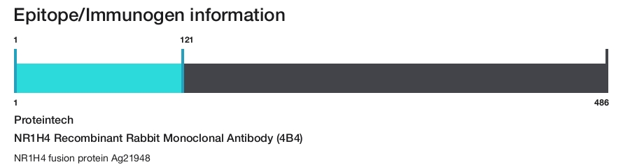 NR1H4 Recombinant Rabbit Monoclonal Antibody (4B4)