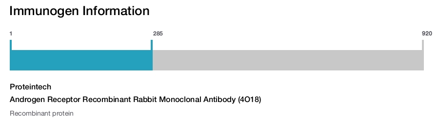 Androgen Receptor Recombinant Rabbit Monoclonal Antibody (4O18)