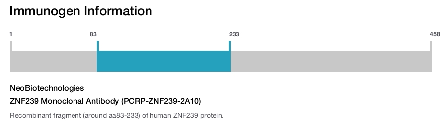 ZNF239 Monoclonal Antibody (PCRP-ZNF239-2A10)