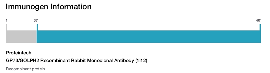 GP73/GOLPH2 Recombinant Rabbit Monoclonal Antibody (1I12)