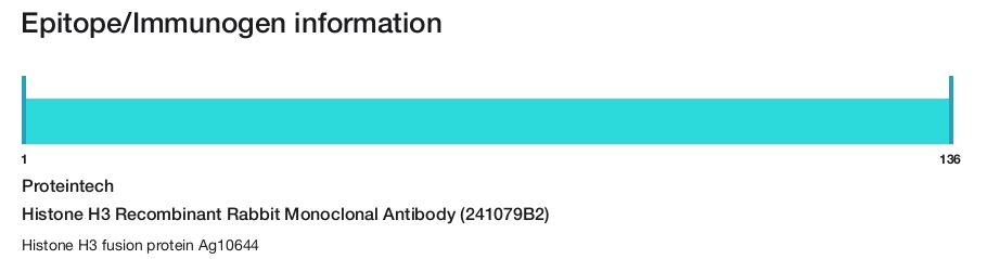 Histone H3 Recombinant Rabbit Monoclonal Antibody (241079B2)