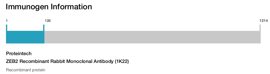 ZEB2 Recombinant Rabbit Monoclonal Antibody (1K22)