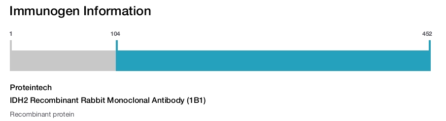 IDH2 Recombinant Rabbit Monoclonal Antibody (1B1)