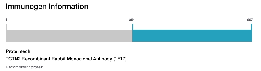 TCTN2 Recombinant Rabbit Monoclonal Antibody (1E17)