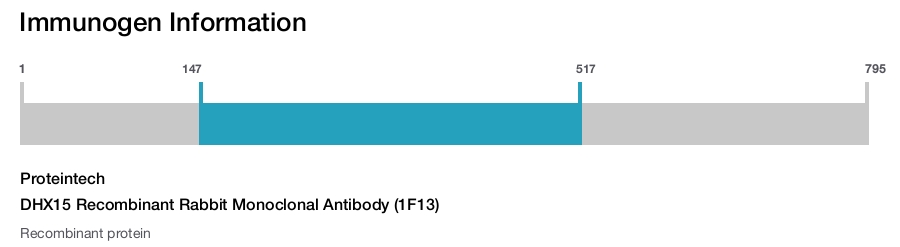 DHX15 Recombinant Rabbit Monoclonal Antibody (1F13)
