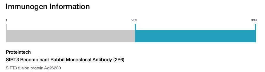 SIRT3 Recombinant Rabbit Monoclonal Antibody (2P6)