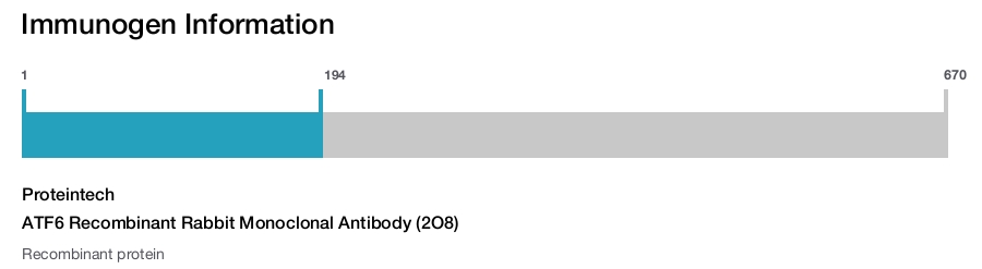 ATF6 Recombinant Rabbit Monoclonal Antibody (2O8)