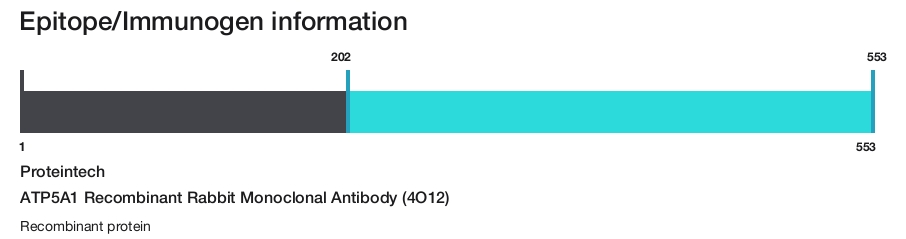 ATP5A1 Recombinant Rabbit Monoclonal Antibody (4O12)