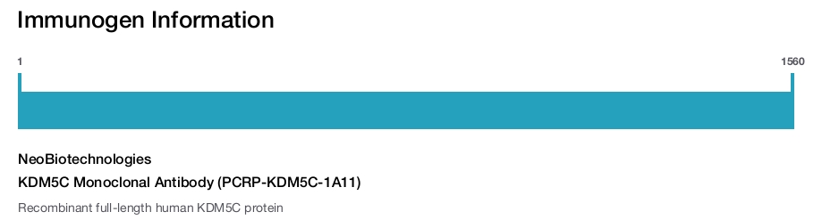 KDM5C Monoclonal Antibody (PCRP-KDM5C-1A11)