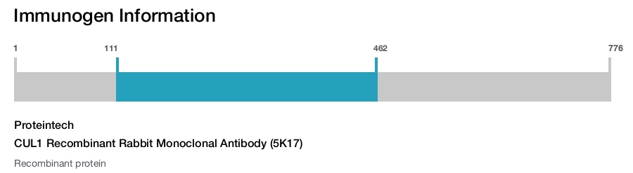 CUL1 Recombinant Rabbit Monoclonal Antibody (5K17)