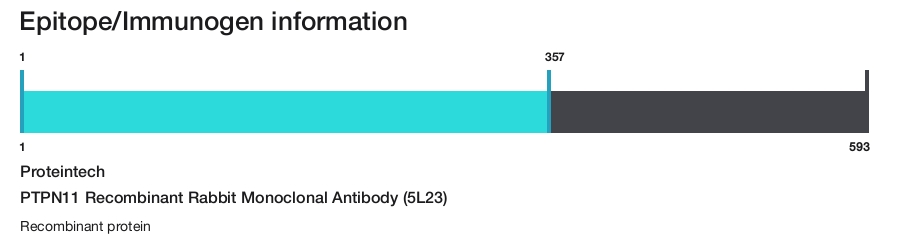 PTPN11 Recombinant Rabbit Monoclonal Antibody (5L23)
