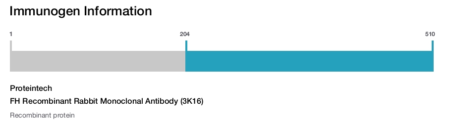 FH Recombinant Rabbit Monoclonal Antibody (3K16)