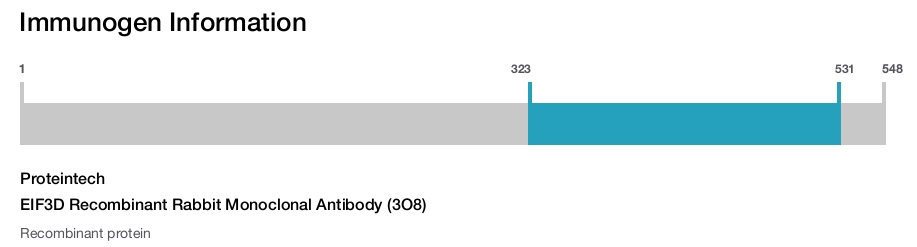 EIF3D Recombinant Rabbit Monoclonal Antibody (3O8)