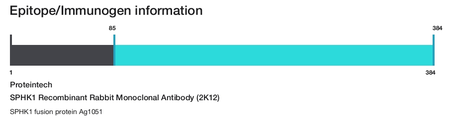 SPHK1 Recombinant Rabbit Monoclonal Antibody (2K12)