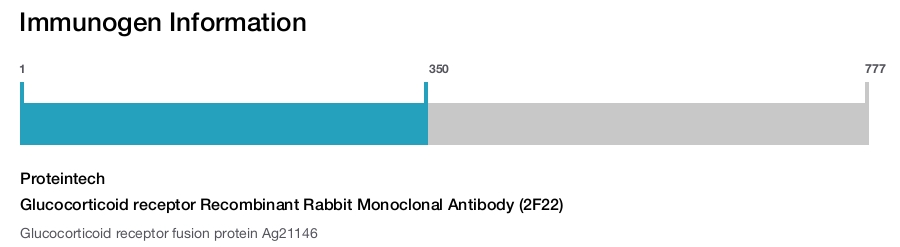 Glucocorticoid receptor Recombinant Rabbit Monoclonal Antibody (2F22)