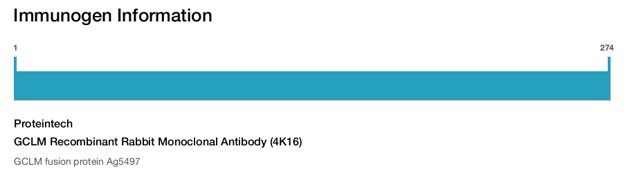 GCLM Recombinant Rabbit Monoclonal Antibody (4K16)