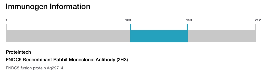 FNDC5 Recombinant Rabbit Monoclonal Antibody (2H3)