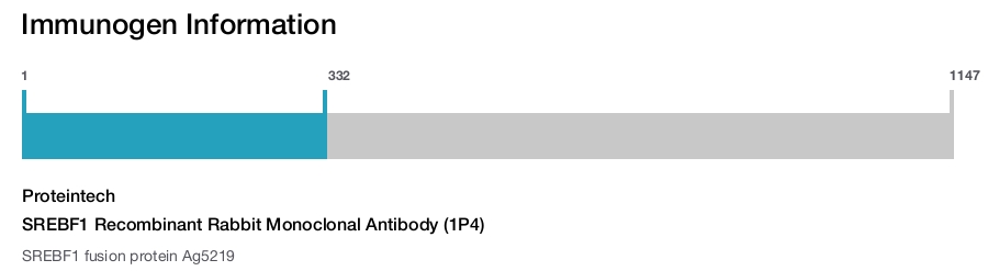 SREBF1 Recombinant Rabbit Monoclonal Antibody (1P4)