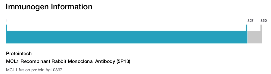 MCL1 Recombinant Rabbit Monoclonal Antibody (5P13)