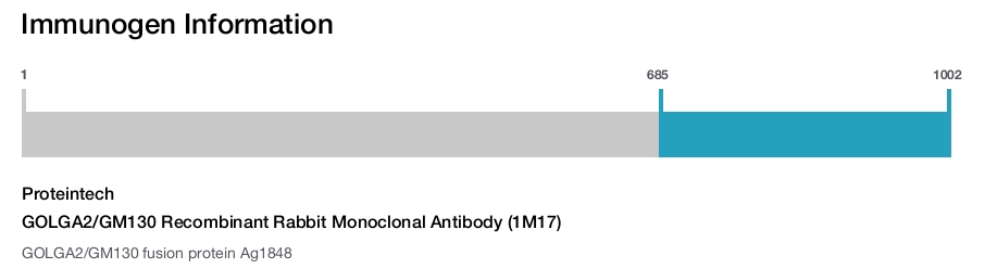 GOLGA2/GM130 Recombinant Rabbit Monoclonal Antibody (1M17)
