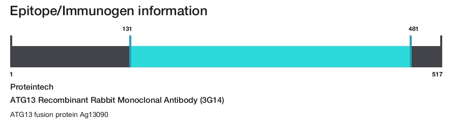 ATG13 Recombinant Rabbit Monoclonal Antibody (3G14)