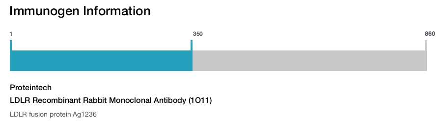 LDLR Recombinant Rabbit Monoclonal Antibody (1O11)