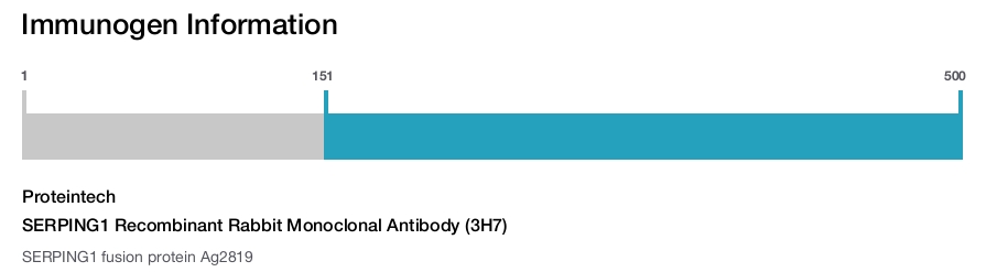 SERPING1 Recombinant Rabbit Monoclonal Antibody (3H7)