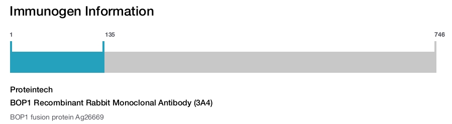 BOP1 Recombinant Rabbit Monoclonal Antibody (3A4)