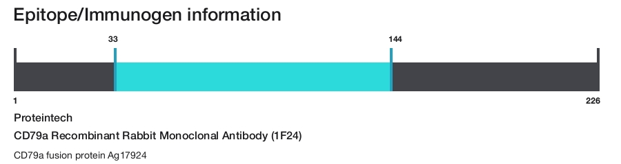 CD79a Recombinant Rabbit Monoclonal Antibody (1F24)