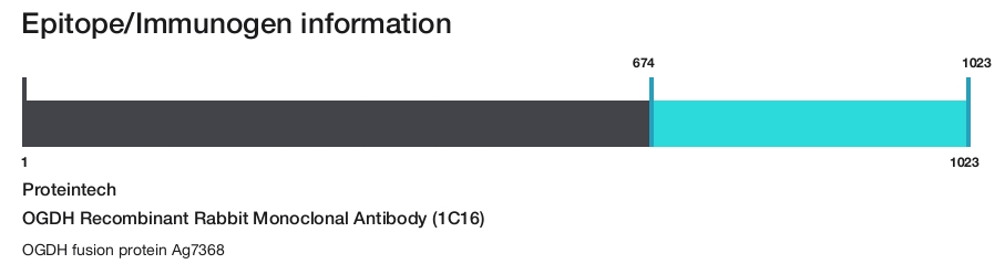 OGDH Recombinant Rabbit Monoclonal Antibody (1C16)
