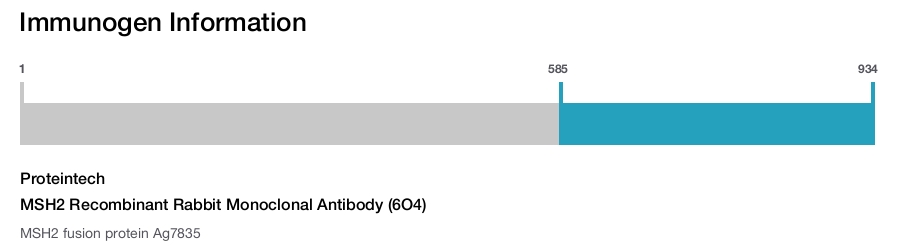 MSH2 Recombinant Rabbit Monoclonal Antibody (6O4)