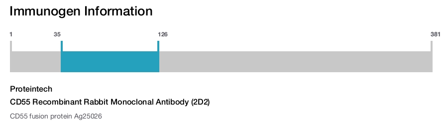 CD55 Recombinant Rabbit Monoclonal Antibody (2D2)