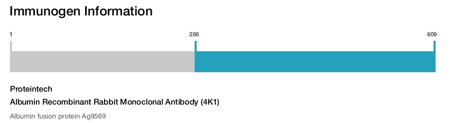 Albumin Recombinant Rabbit Monoclonal Antibody (4K1)