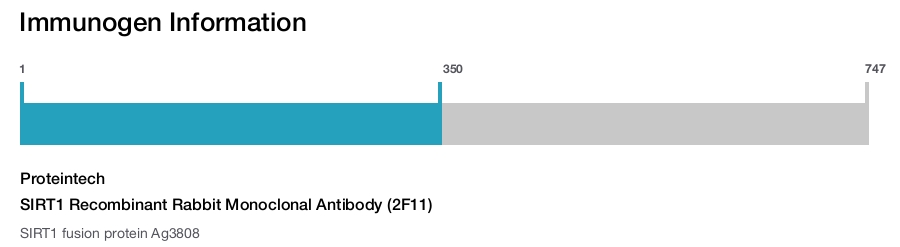 SIRT1 Recombinant Rabbit Monoclonal Antibody (2F11)