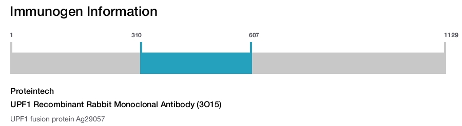UPF1 Recombinant Rabbit Monoclonal Antibody (3O15)