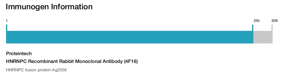 HNRNPC Recombinant Rabbit Monoclonal Antibody (4F16)