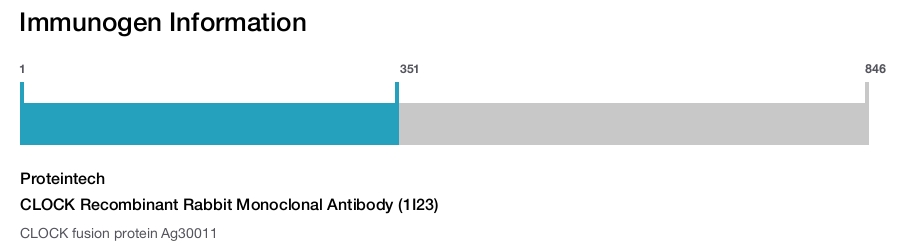 CLOCK Recombinant Rabbit Monoclonal Antibody (1I23)