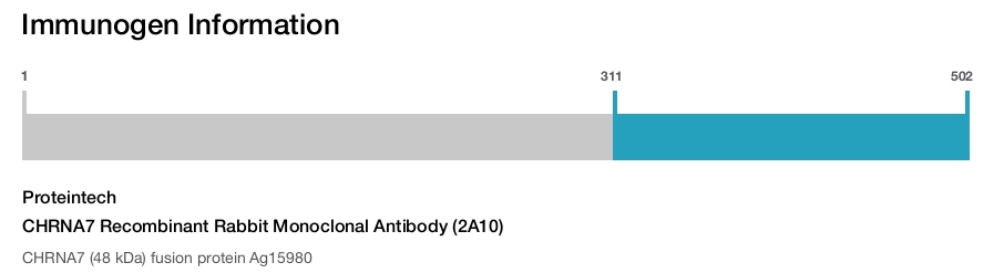 CHRNA7 Recombinant Rabbit Monoclonal Antibody (2A10)