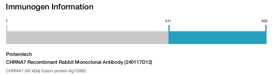 CHRNA7 Recombinant Rabbit Monoclonal Antibody (240117D12)