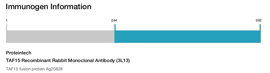 TAF15 Recombinant Rabbit Monoclonal Antibody (3L13)