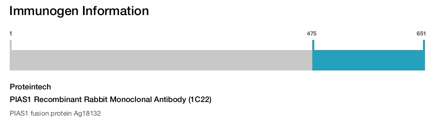 PIAS1 Recombinant Rabbit Monoclonal Antibody (1C22)